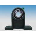 Ucph Pillow Block Bearing